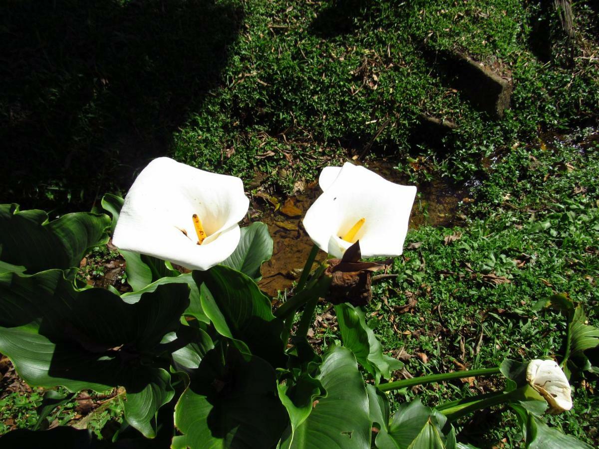 Pousada Solar Das Aguas, S/N Visconde De Maua Dış mekan fotoğraf
